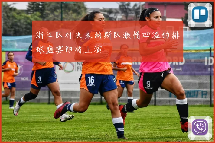 浙江队对决米纳斯队激情四溢的排球盛宴即将上演