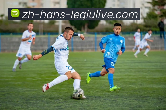 App Interface Preview